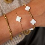 SEASHELL CLOVER | Gold Set